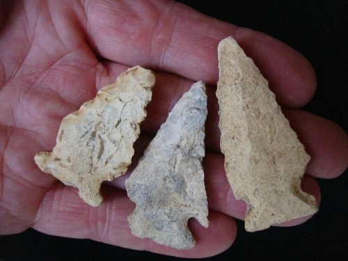 3 Dinged BOLEN BEVEL Deep South Arrowhead ~73~
