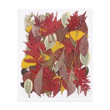 50 Pcs Dried Pressed Flower Leaves Bulk for Resin, Yellow Dark Red