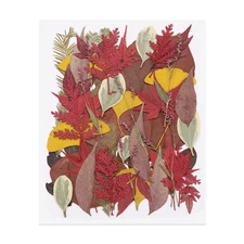 50 Pcs Dried Pressed Flower Leaves Bulk for Resin, Yellow Dark Red