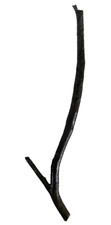 Schwarze Koralle Ast, Königskoralle 25 cm lang, 23 g -ca. 11 mm dick Rarität #4