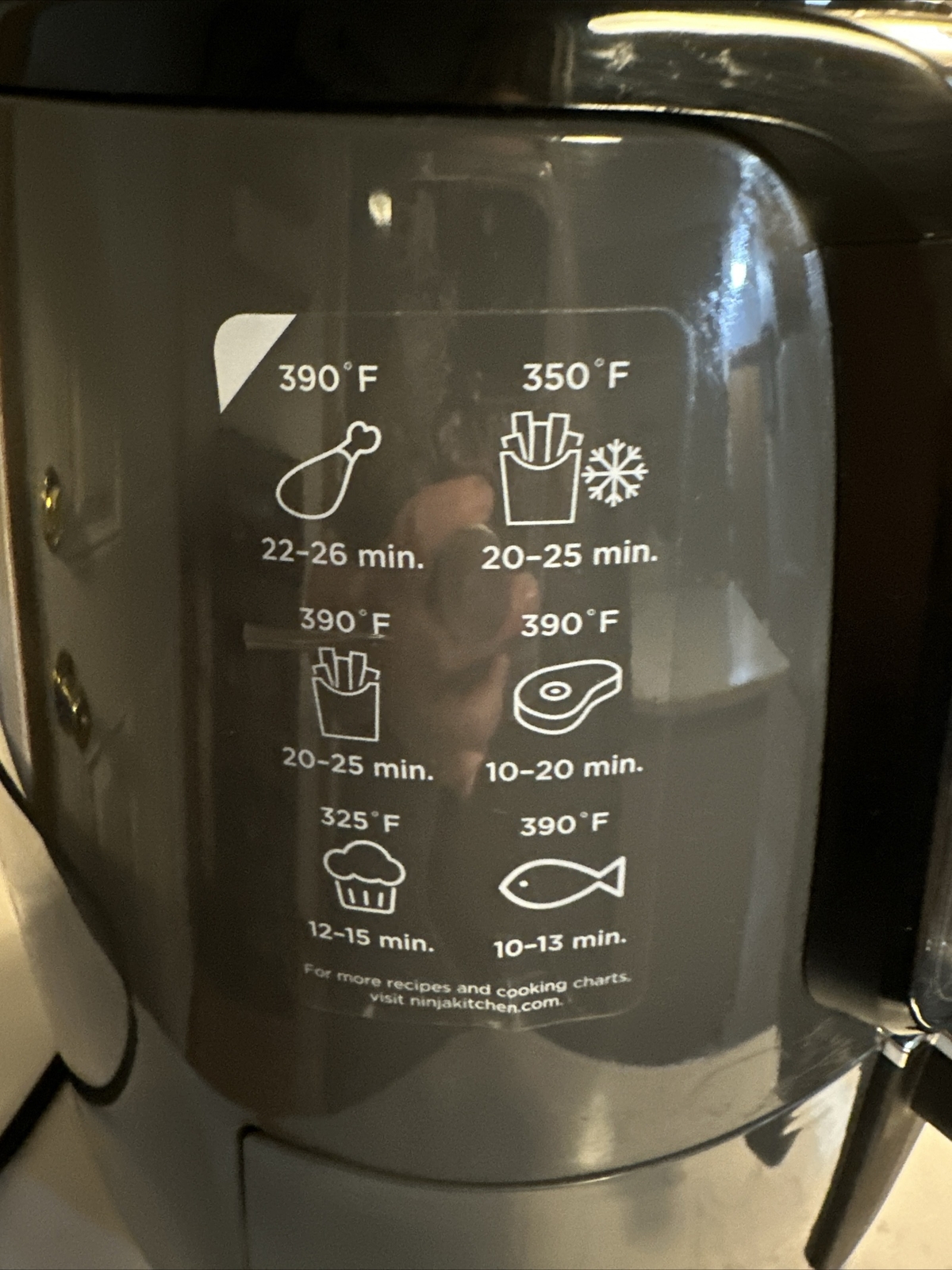 Ninja AF101 4 qt Air Fryer Grey eBay
