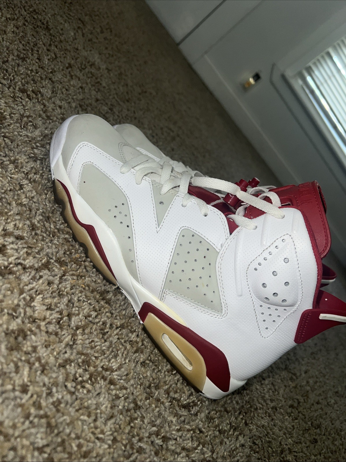 Jordan 6 2016 - image 2