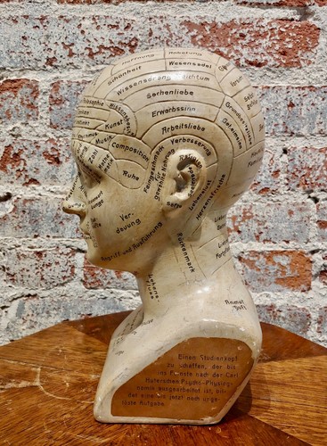 Carl Huter 1920er Phrenologie Kopf Gips Studie - Bild 6 von 9