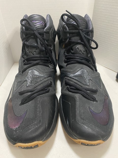 lebron black lion shoes