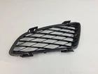Front bumper lower grill