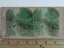 T.W. Ingersoll Smithsonian Grounds Tropical Lagoon Stereoview Card US 1900-1924
