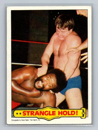 Rowdy Roddy Piper & Junkyard Dog 1985 Topps WWF Rookie #40 RC Stangle Hold! NM