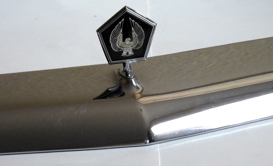 Chrysler Imperial 1990-93 OEM REJILLA SUPERIOR BARRA CROMADA MOLDURA CON EMBLEMA - 4451039 Foto 2 de 4