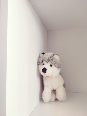 Peluche Husky Chien Loup Lascar 20cm