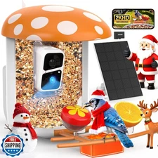 PeckCam Smart Bird Feeder with Camera 2K Live Real-Time Alert AI 