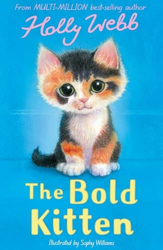 The Bold Kitten by Holly Webb 9781788957397 NEW Free UK Delivery - Image 4