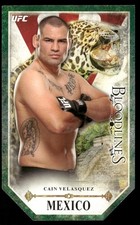 Law of Cards: Trademark Fight Over Bloodlines Brewing 6