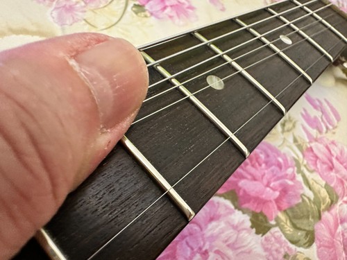 2005 Gibson Les Paul Special Ebony - Foto 8 di 24