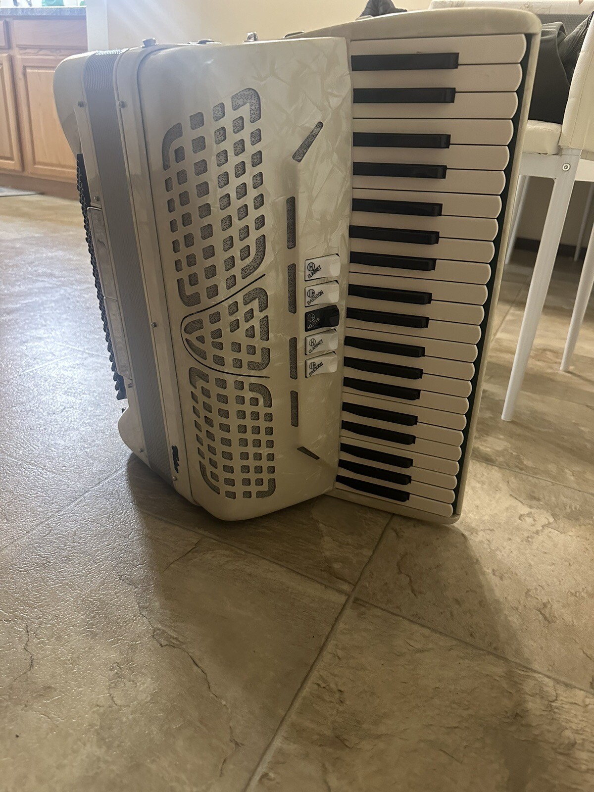 accordion eBay