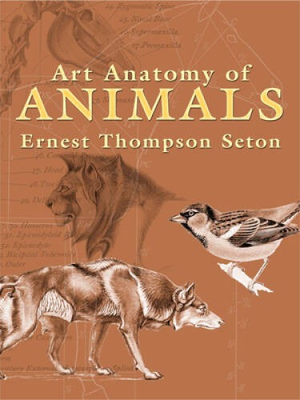 #ad #ad Art Anatomy of Animals Dover Anatomy for Artists Paperback VERY GOOD $11.98
