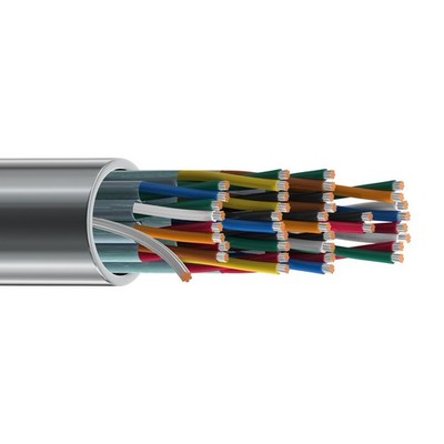 Belden 8769 22 AWG 19 Pair individual Foil Shield Instrumentation Cable 300V