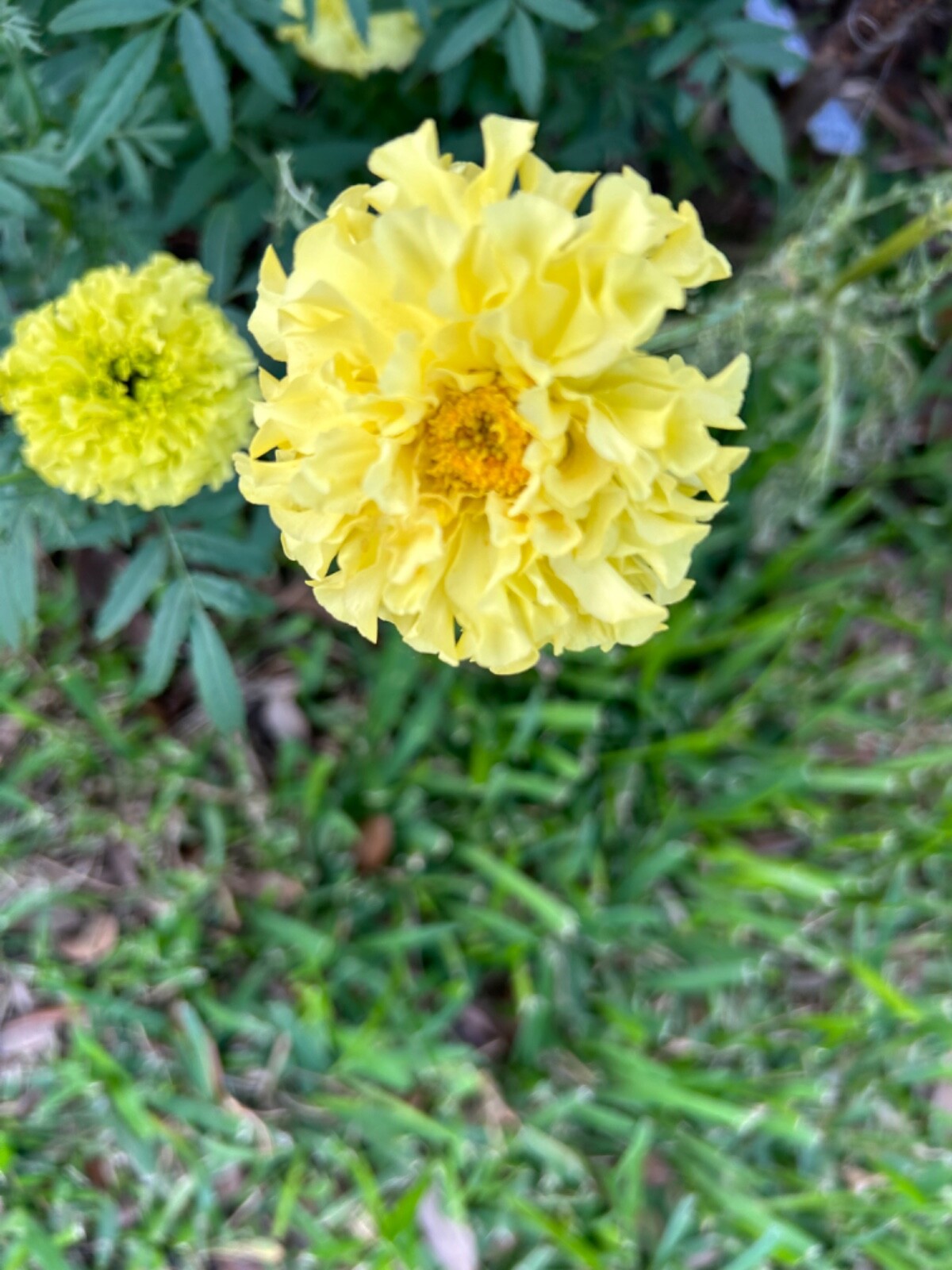 Picture 3 of 3