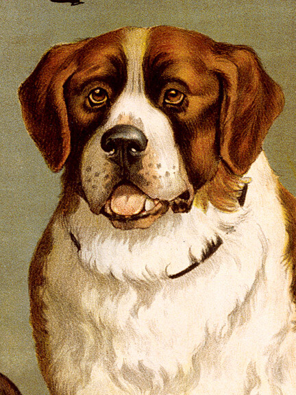 1890s New England Kennel Club Classic Dog Poster - 24x32 | eBay