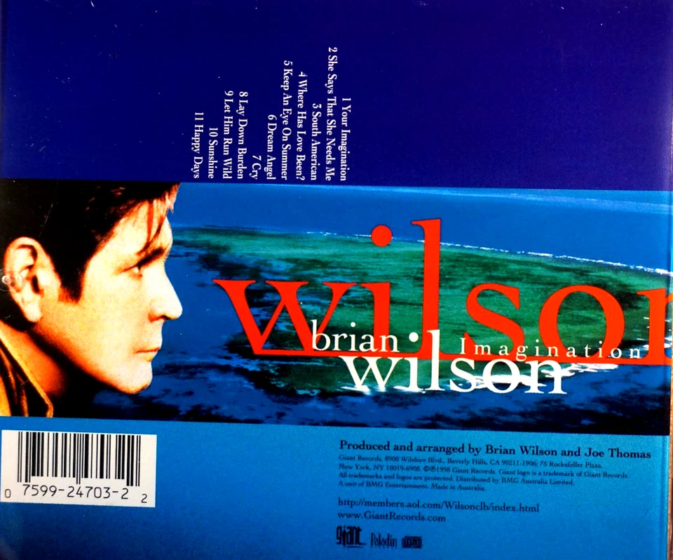 Brian Wilson - Imagination - CD, VG - image 2 of 2