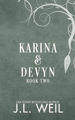 Karina & Devyn: Time Shift, Void Shift, Spirit Shift by J.L. Weil Paperback Book