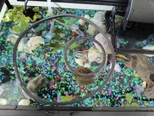 Floating Fish Feeding Rings Aquarium Plant 10 Pieces Corral Betta Tank Set USNew
