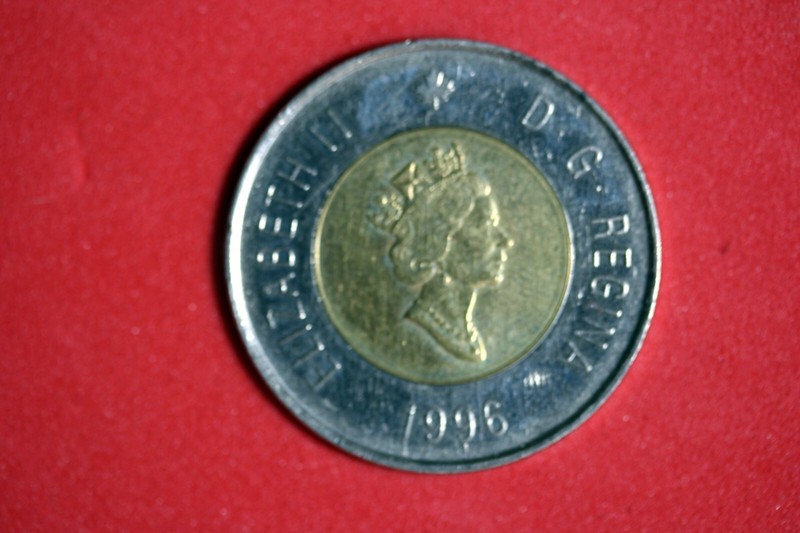 ESTATE FIND 1996 - Canada 2 Dollar Queen Elizabeth II Polar Bear!!  #N01065