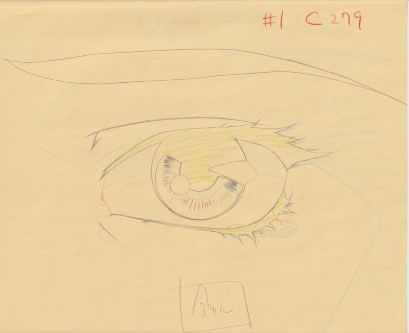 The Twelve Kingdoms Juuni Kokki Genga Douga Original Sketches Pierrot - Youko