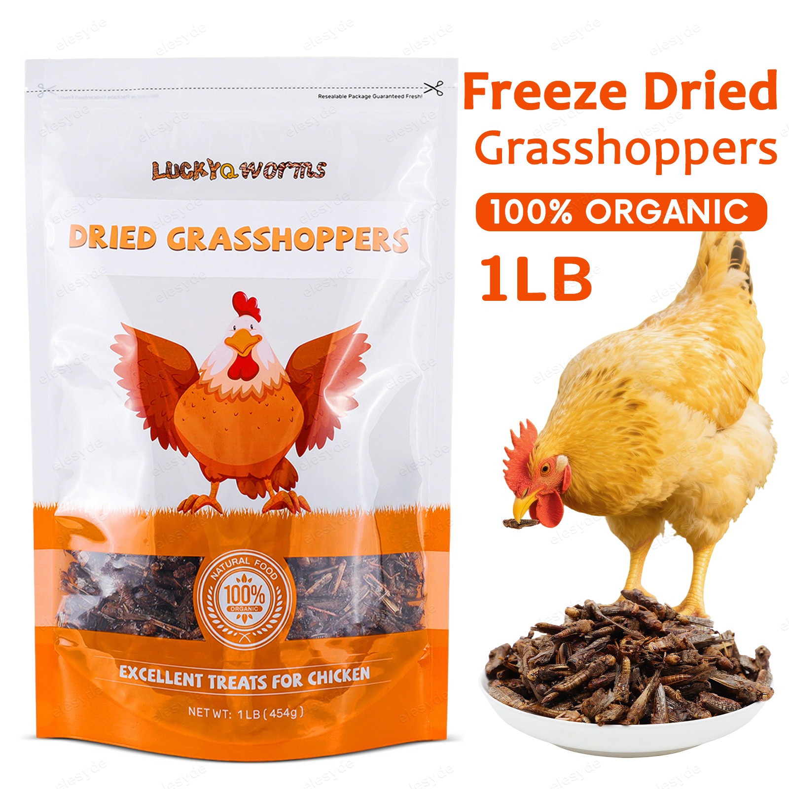 1lb Freeze Dried Grasshoppers - High Protein Reptile & Bird 