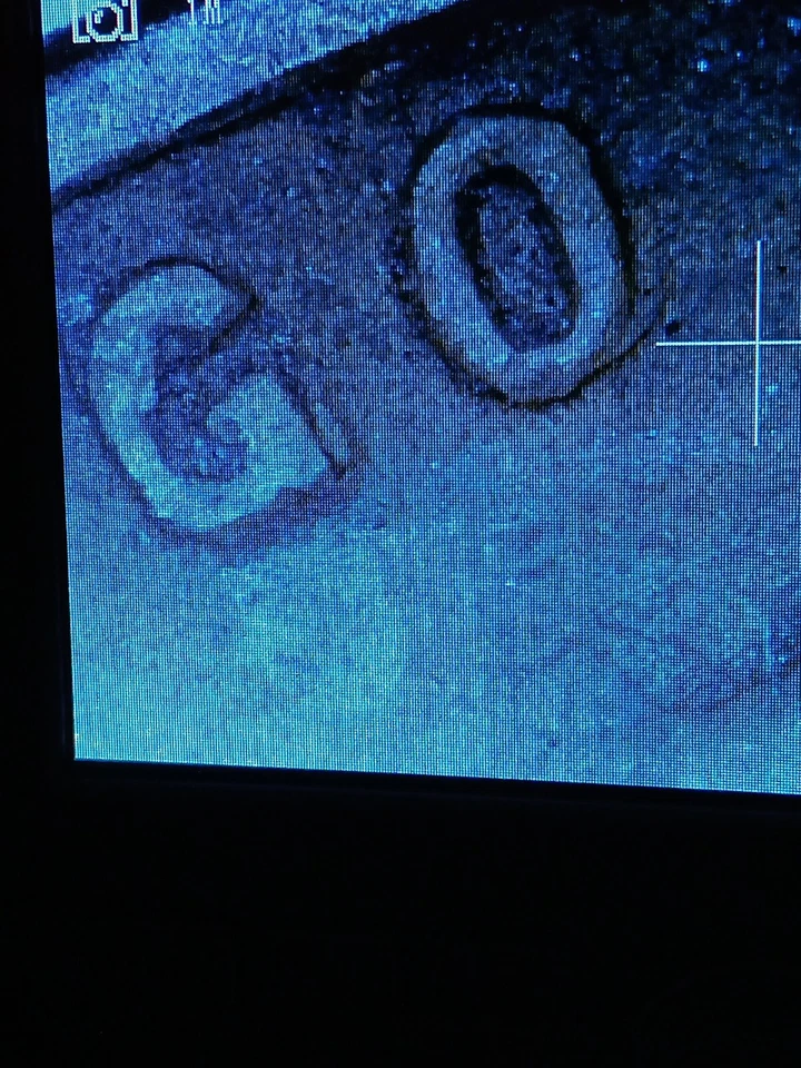 👉1941 DDO-ERROR Doubled Die Obverse XF CHOICE WHEAT - Image 2 of 4