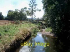 Photo 6x4 Small stream south of The Homend Canon Frome Looking south-west c2007
