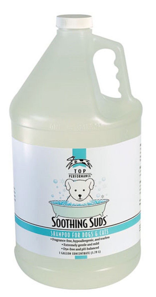 Pro Shampoo & Balsamo Gallone Concentrato Pet Cane Gatto