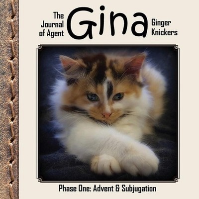 The Journal of Agent Gina Ginger Knickers, Phase One: Advent & Subjugation by Li