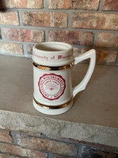 Vintage University of Wisconsin Mug Numen Lumen Ceramic 1960'S RARE USA