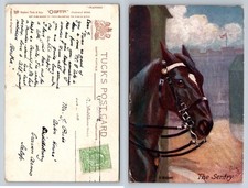 Horse Guard 'The Sentry'. Military - Tuck's Oilette 'Chargers'