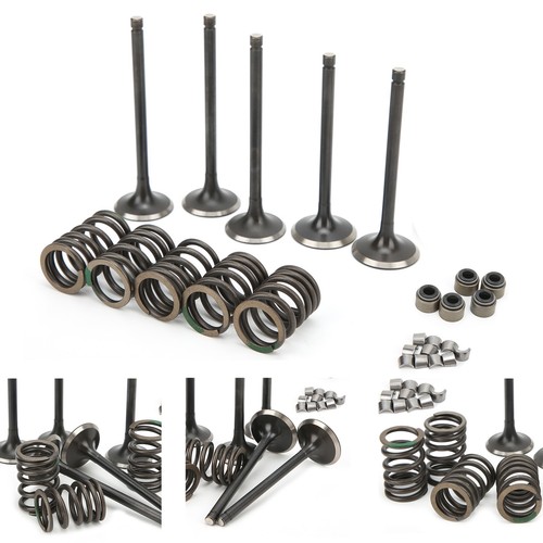 Cylinder Head Intake Exhaust Valve Kit Fit For GRIZZLY 660 YFM660F 4WD 2002‑2008 - Picture 5 of 22