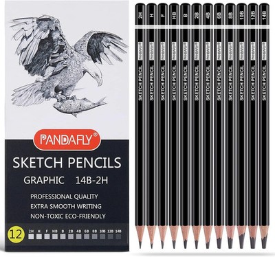 12 Piece Professional Graphite Pencil Set for Drawing, Sketching & Shading Art