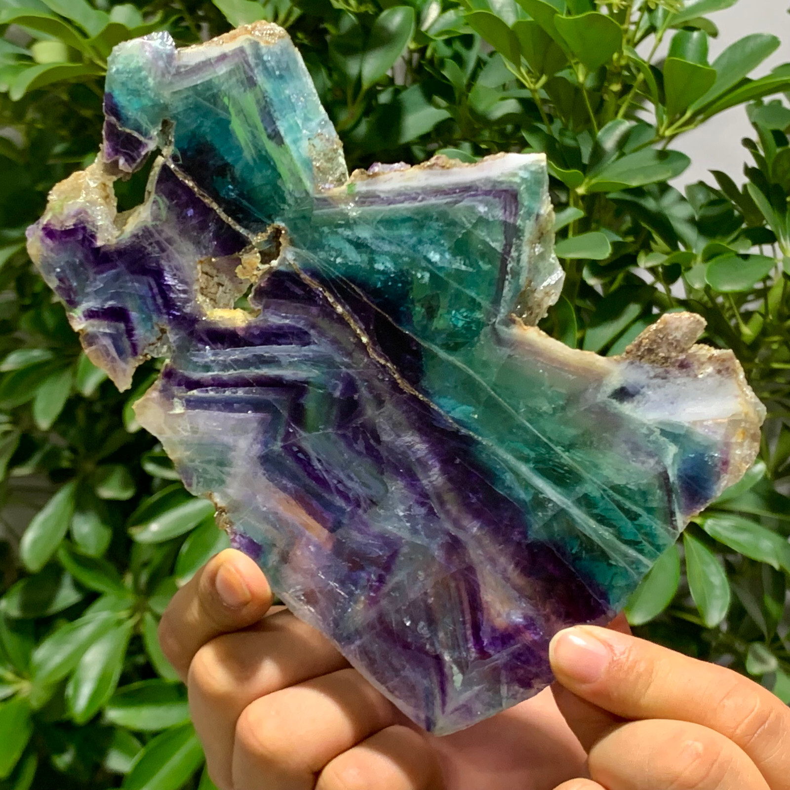 Natural Rainbow Fluorite Crystal Rough Stone Specimen 446G Healing Energy