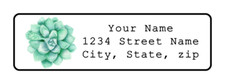 400 Personalized Green Succulent Return Address Labels Stickers 1/2"x1 3/4"