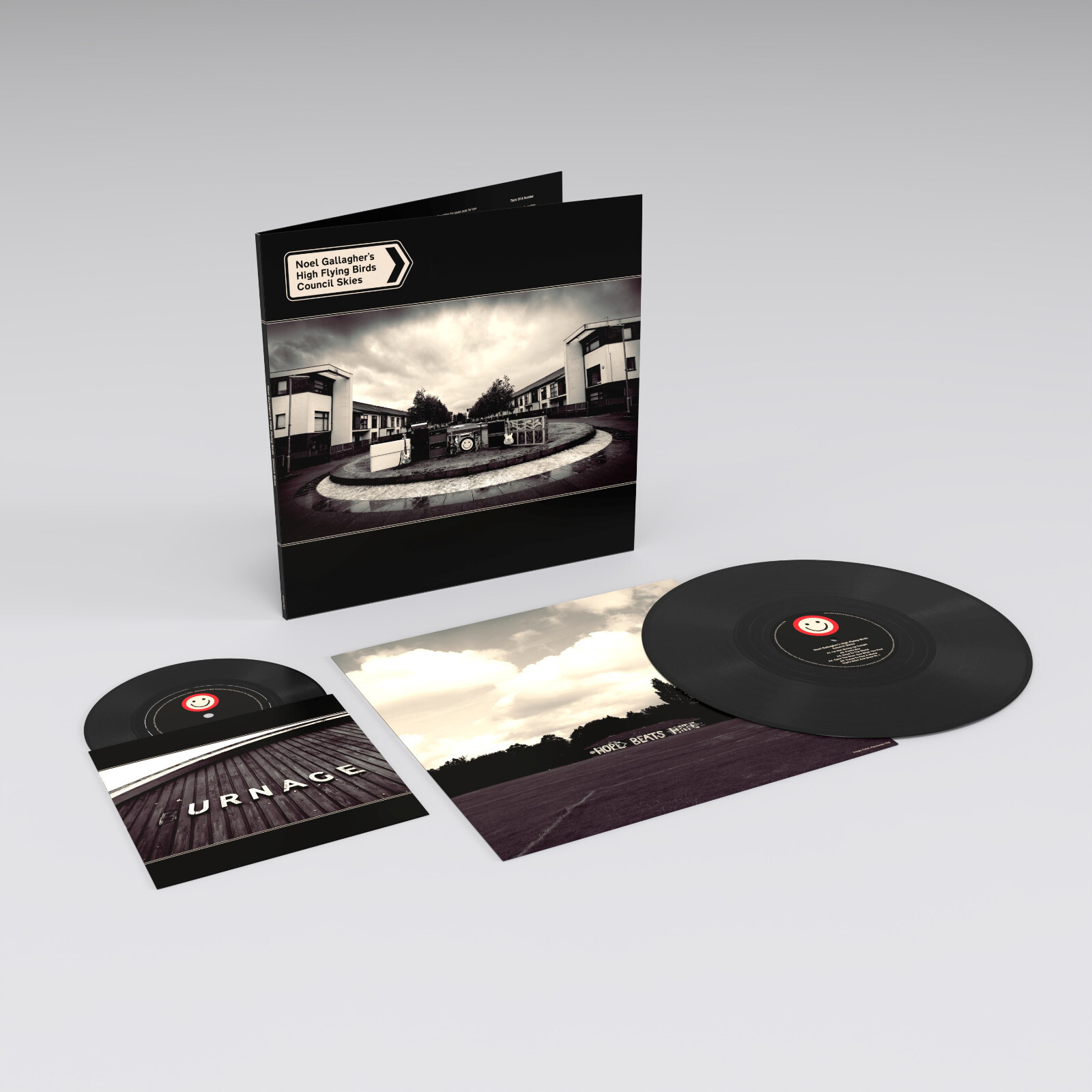 Noel Gallagher's High Flying Birds Council Skies Vinyl LP + 45 RPM New