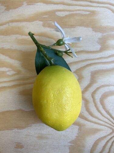 Faux Lemon Fruit - Picture 1 of 3