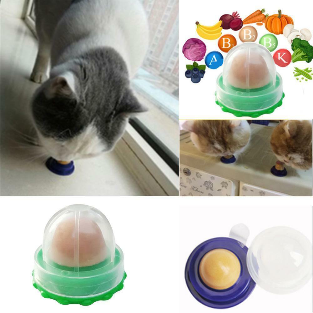petsmartgrooming