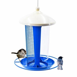 automatic pigeon feeder