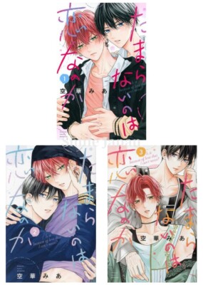 BL Manga Girls Comic Book Tamaranai no wa Koi nano ka 1-3 set Japanese Language