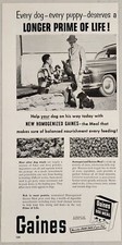1955 Print Ad Gaines Meal Dog Food Men,Hunting Dogs,Pheasant Vintage Car