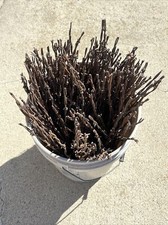 Rusty Barb Wire 14 Inch strands. Sharp old rustic look. Crafting Decor. 10 Count