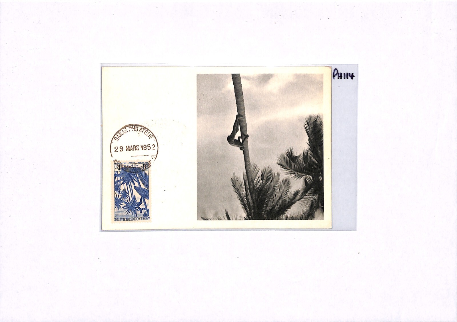 Picture 5 of 12