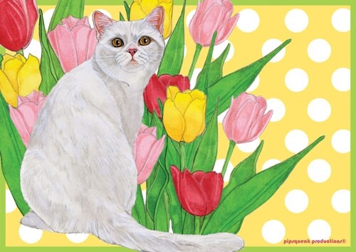 Cat White Cat Small Blank Note Card - Picture 1 of 1