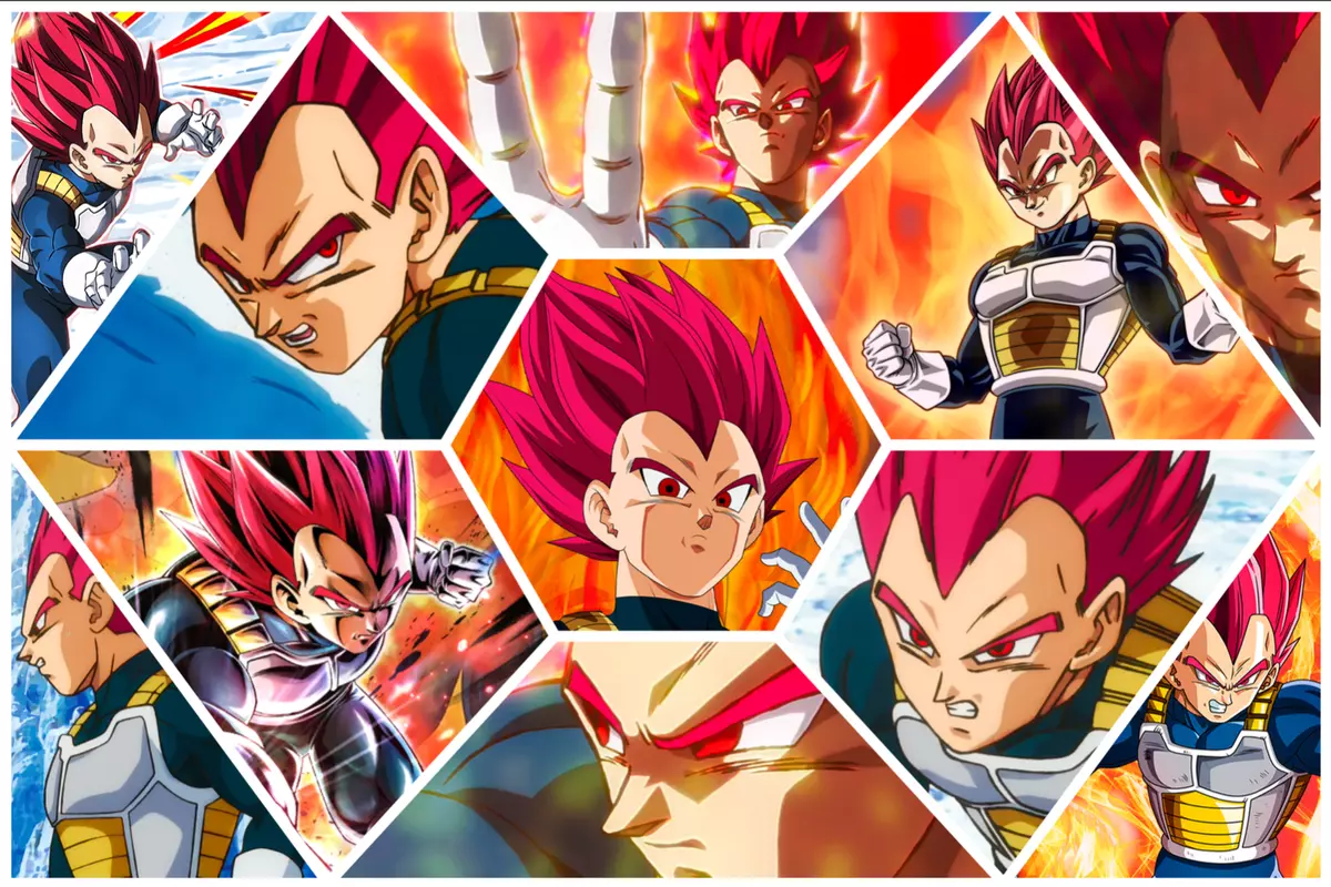 Dragon Ball Z SSJ Vegeta Collage 18in x 12in Free Shipping