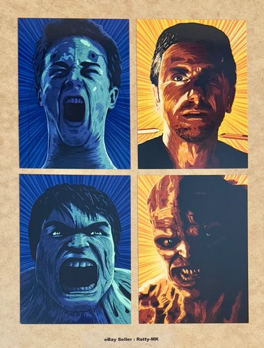 HULK & THE INCREDIBLE HULK - UK EXCLUSIVE 4K + BLU RAY STEELBOOK SET (READ) - Picture 19 of 21