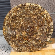 29.7LB 64cmNatural Ammonite Dish Fossil Olecranon Conch Crystal Mineral Specimen